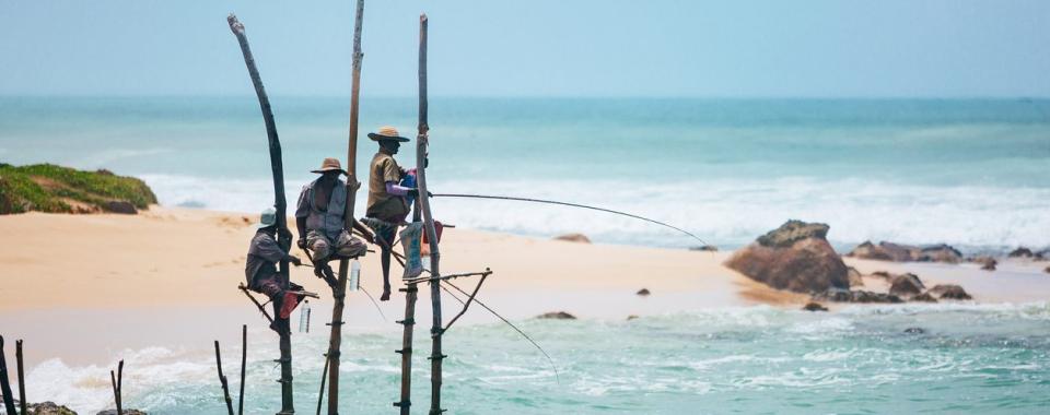 Un voyage au Sri Lanka.