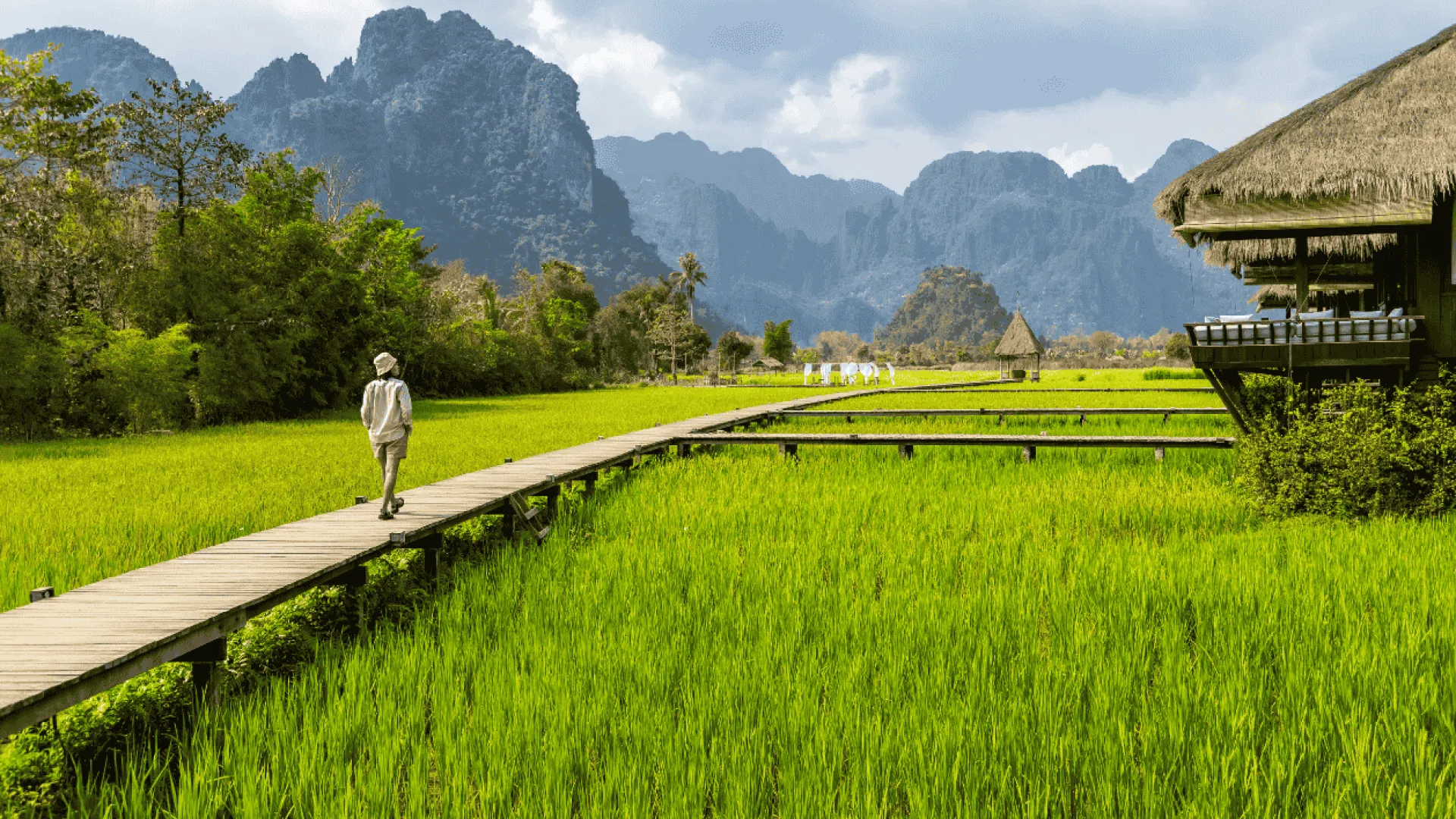Les rizières de Vang Vieng au Laos.