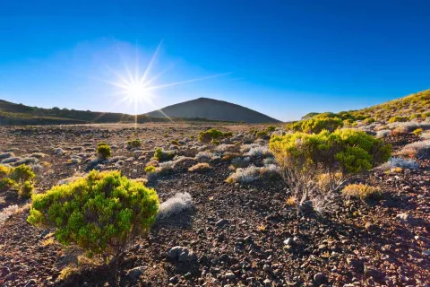 Un circuit de 10 jours à la Réunion.