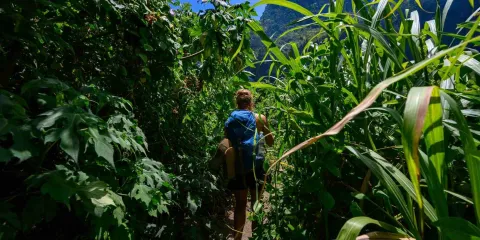 Découvrez les meilleures choses à faire à la Réunion.