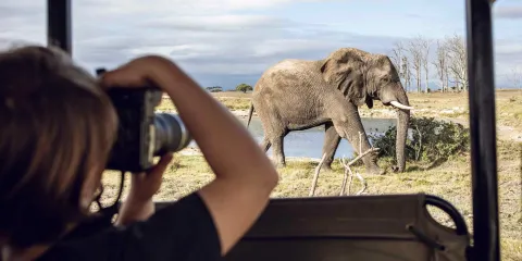 Découvrez tous nos conseils avant de partir en voyage en Afrique du Sud.