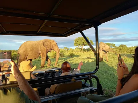 Découvrez tous nos conseils pour organiser votre safari en Afrique du Sud.