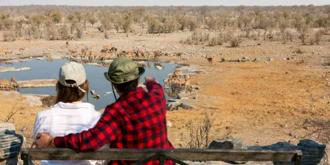 Voyageurs observant des éléphants autour d’un point d’eau lors d’un safari dans le parc national d’Etosha en Namibie