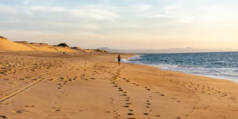 Une personne marche sur une plage sauvage des Landes bordée par les dunes et l'océan Atlantique
