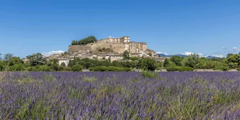 Vue de Grignan et de son château au milieu des champs de lavande, en Drôme provençale.