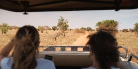 Safari en Tanzanie : voyageurs observant une girafe depuis un 4x4 dans la savane