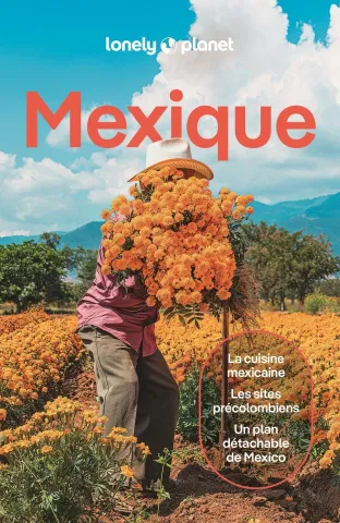 Guide de voyage Mexique