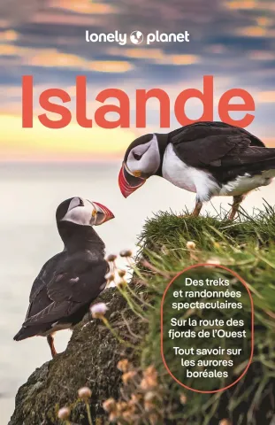 Guide de voyage Islande