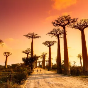 Madagascar en Afrique.