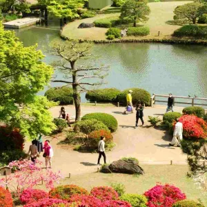 Le jardin Rikugien à Tokyo