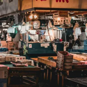 Le marché aux poissons de Tsukiji à Toykp.