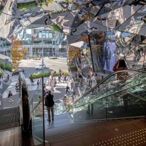 Omotesandō est une avenue située à Shibuya dans la ville de Tokyo.