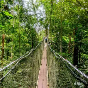 L'île de Bornéo se partage entre l'Indonésie, la Malaisie et Brunei.