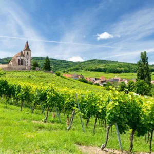 Le village d'Hunawihr en Alsace.