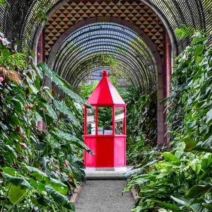 Le jardin botanique de Puerto de la Cruz à Tenerife.