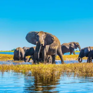 Le Botswana en Afrique.