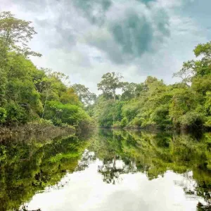 Le parc national Pacaya-Samiria au Pérou.