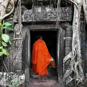 Ta Prohm est le temple dans la jungle à Angkor.