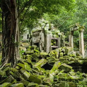 Temple de Beng Mealea, ruines envahies par la jungle à Angkor, Cambodge