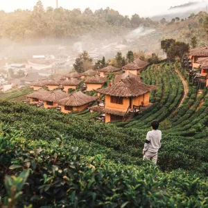 Lee Wine rak Thai à Mae Hong Son.