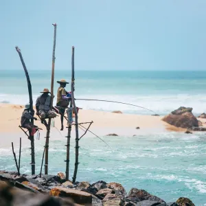 Un voyage au Sri Lanka.