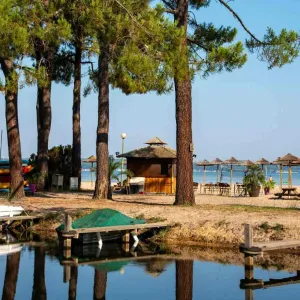 Plage aménagée au bord d'un lac de Biscarrosse dans les Landes, avec pins maritimes, bateaux et activités nautiques