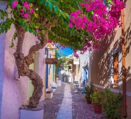 L'île de Syros en Grèce se trouve dans les Cycades.