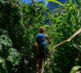 Découvrez les meilleures choses à faire à la Réunion.