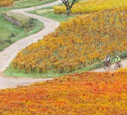 Les plus belles routes à faire à vélo en Bourgogne.