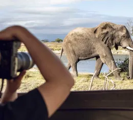 Découvrez tous nos conseils avant de partir en voyage en Afrique du Sud.