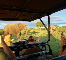 Découvrez tous nos conseils pour organiser votre safari en Afrique du Sud.