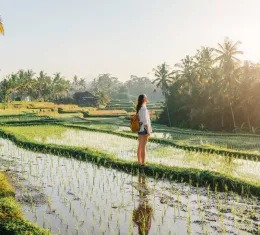 Découvrez nos conseils avant de visiter Bali.