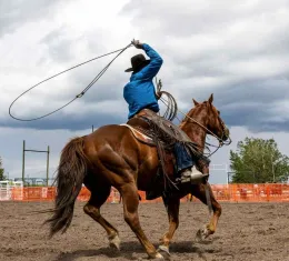 Cavalier participant à un rodéo en plein air en Alberta, au Canada