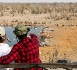Voyageurs observant des éléphants autour d’un point d’eau lors d’un safari dans le parc national d’Etosha en Namibie