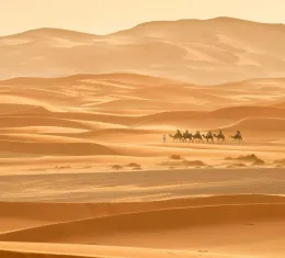 Caravane traversant les dunes du désert du Sahara au Maroc