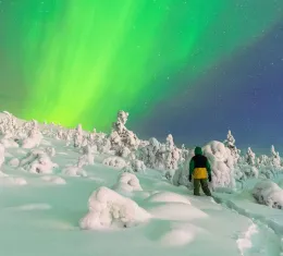 Homme observant des aurores boréales dans un paysage enneigé en Laponie