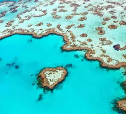 Vue aérienne de la Grande Barrière de corail en Australie, avec ses récifs coralliens colorés et ses eaux turquoise