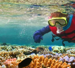 Enfant faisant un baptême de plongée avec masque et tuba dans la Grande Barrière de corail en Australie