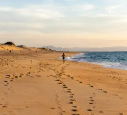 Une personne marche sur une plage sauvage des Landes bordée par les dunes et l'océan Atlantique