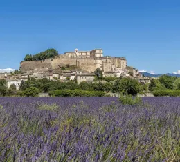 Vue de Grignan et de son château au milieu des champs de lavande, en Drôme provençale.