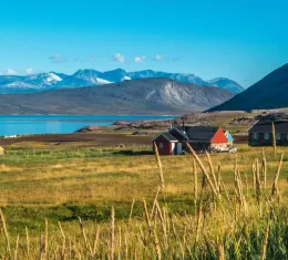 Paysage de campagne arctique dans le sud du Groenland