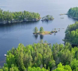 Paysage de la région des Lacs en Finlande avec lacs, îles boisées et forêts