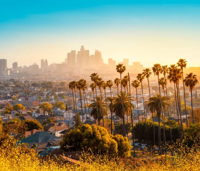 Découvrez tous nos conseils avant de visiter Los Angeles.