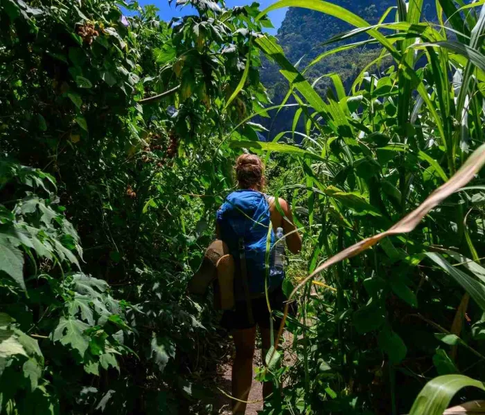 Découvrez les meilleures choses à faire à la Réunion.