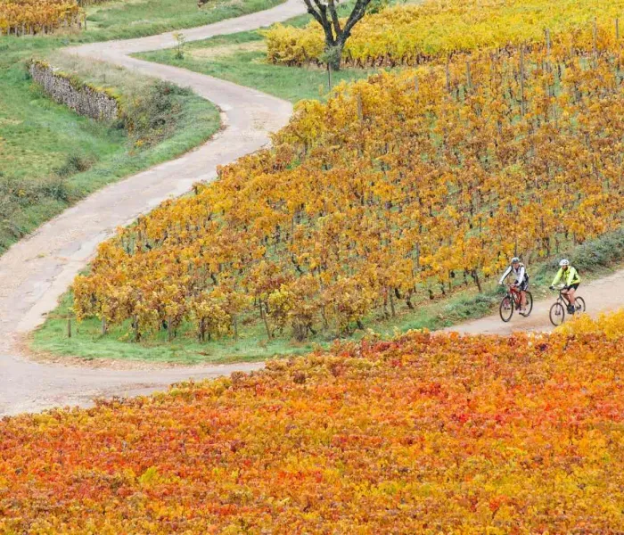 Les plus belles routes à faire à vélo en Bourgogne.
