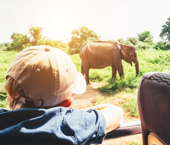 Découvrez tous nos conseils pour voyage en famille au Sri Lanka.
