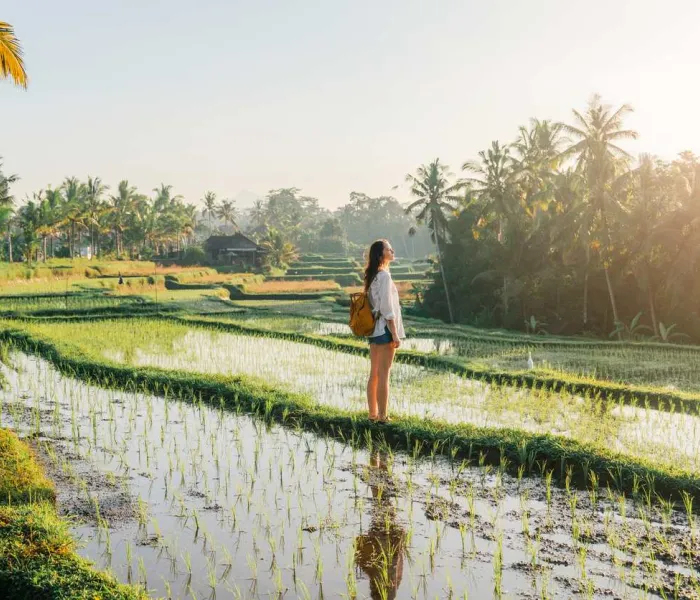 Découvrez nos conseils avant de visiter Bali.