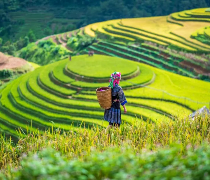Découvrez notre guide pour préparer votre découverte de Sapa, Vietnam.