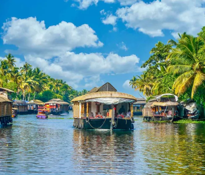 Découvrez les meilleures activités à faire au Kerala.