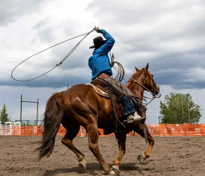 Cavalier participant à un rodéo en plein air en Alberta, au Canada